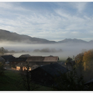 Wald im Herbst 2011