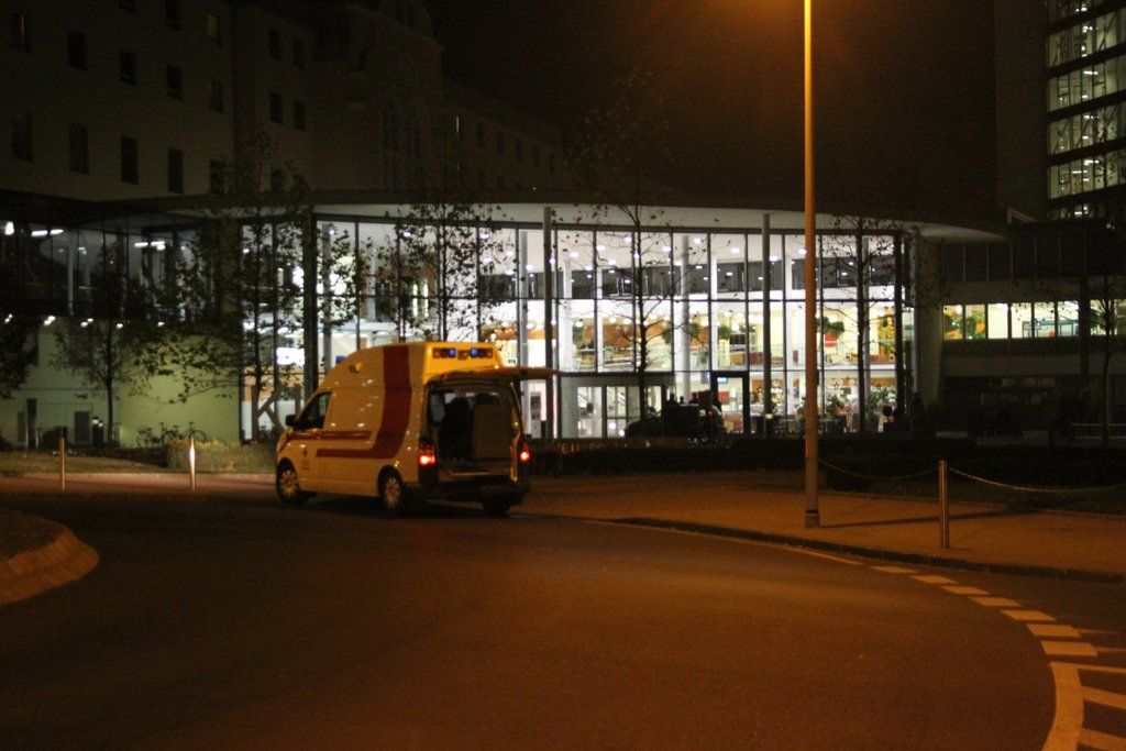 IMG_6629.jpg