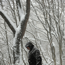 Winterchaos in Europa und USA