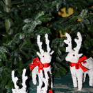 normal_17112011fmt_adventzauber_ta_016.JPG
