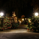 normal_17112011fmt_adventzauber_ta_030.JPG