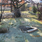 100___11_ IMG_7337.jpg