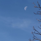 Bilder der Hubschrauberflüge