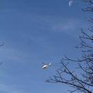 normal_18112011fmt_hubschrauber_ta_002.JPG