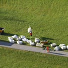 normal_18112011fmt_hubschrauber_ta_015.JPG