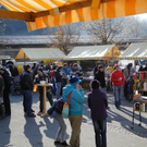 Matesmat _27__JPG-1321623825