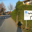 DSCN7618_jpg-1321626145