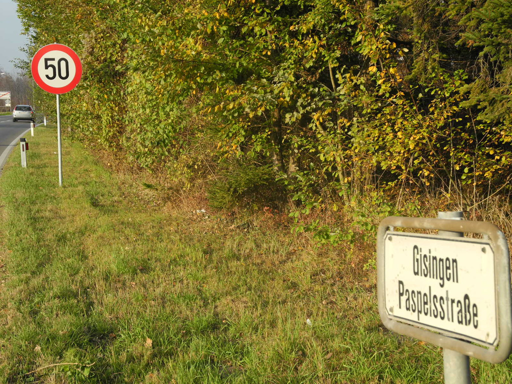 DSCN7637_JPG-1321626158