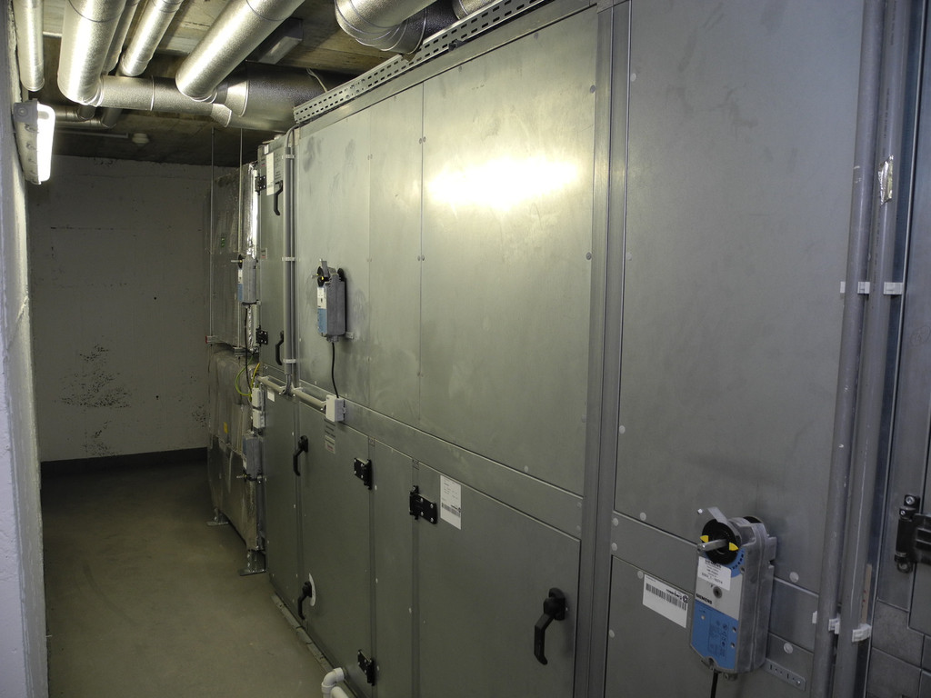 DSCN7248_JPG-1321637094