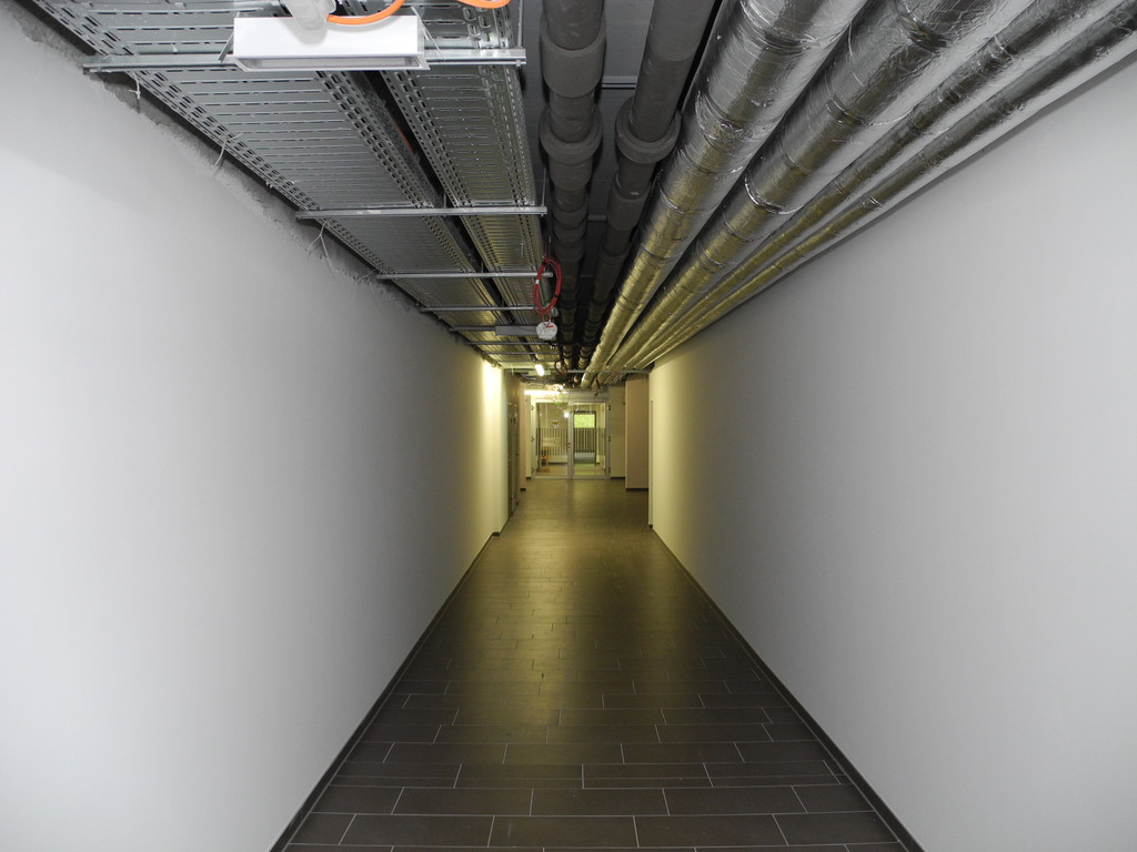 DSCN7252_JPG-1321637121