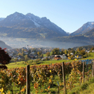 KOE_G__fner Weinkulinarium 51_jpg-1321704749