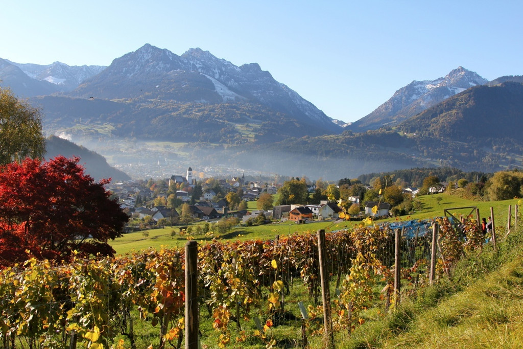 KOE_G__fner Weinkulinarium 51_jpg-1321704749