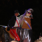 DSC01582_1024x685.jpg