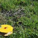 normal_19112011sprengungmbaktivnews001.JPG