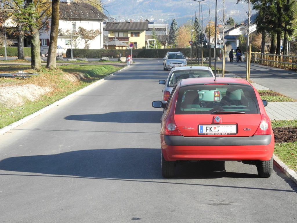 DSCN7798_JPG-1321718992