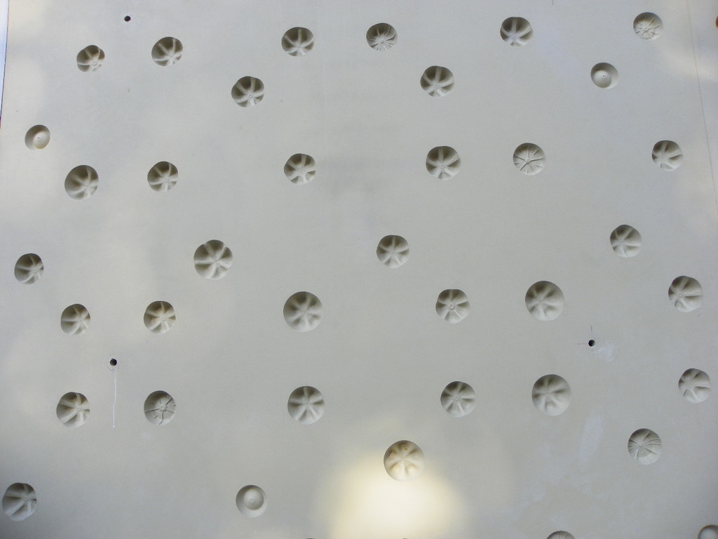 113_0335_JPG-1321721929