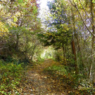 113_1320_JPG-1321724797