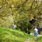 113_1344_JPG-1321724818