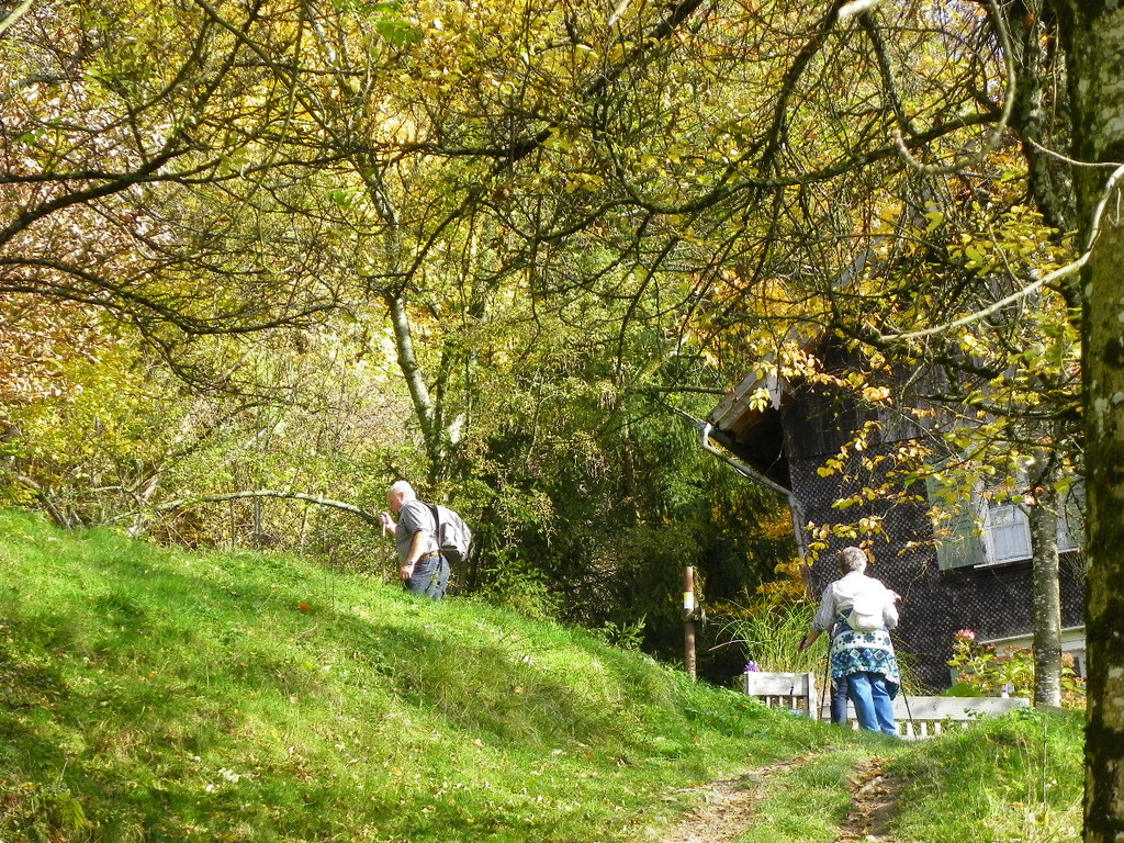 113_1344_JPG-1321724818