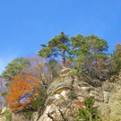 113_1352_JPG-1321724827