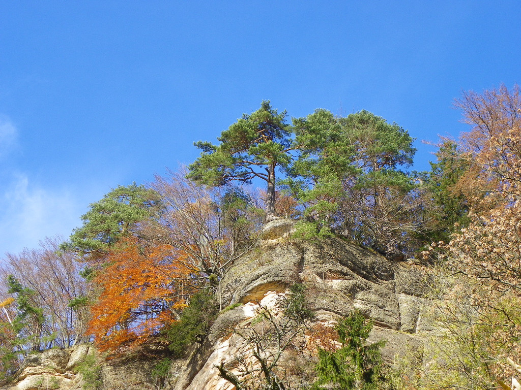 113_1352_JPG-1321724827