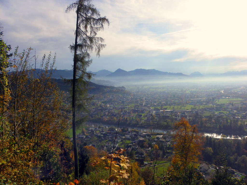 113_1369_JPG-1321724846