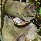 113_1378_JPG-1321724872