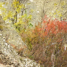 113_1386_JPG-1321724882