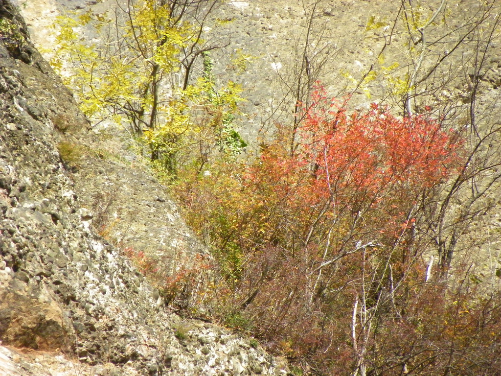 113_1386_JPG-1321724882