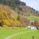 113_1445_JPG-1321724902