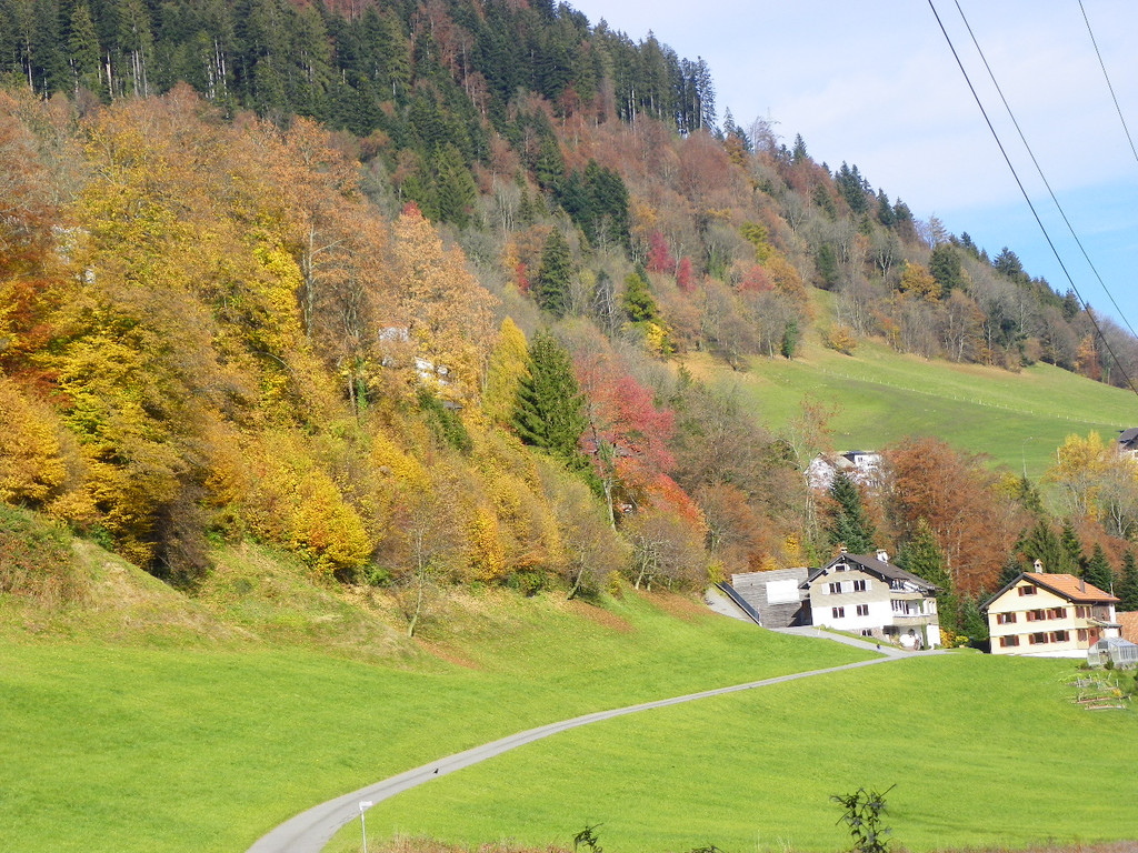 113_1445_JPG-1321724902