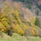 113_1446_JPG-1321724912