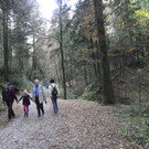 113_1477_JPG-1321724922