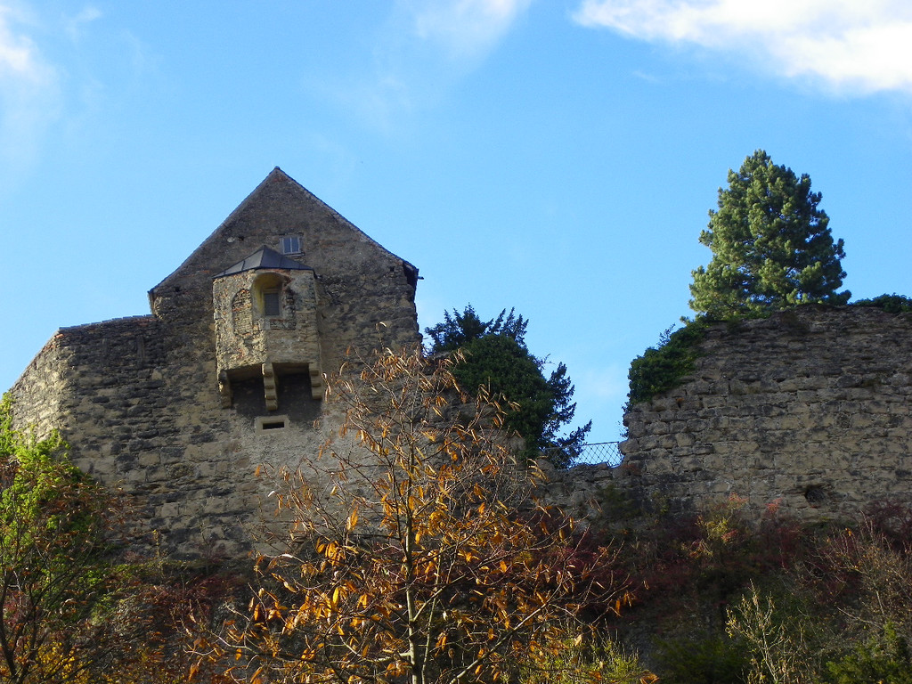 113_1500_JPG-1321724931