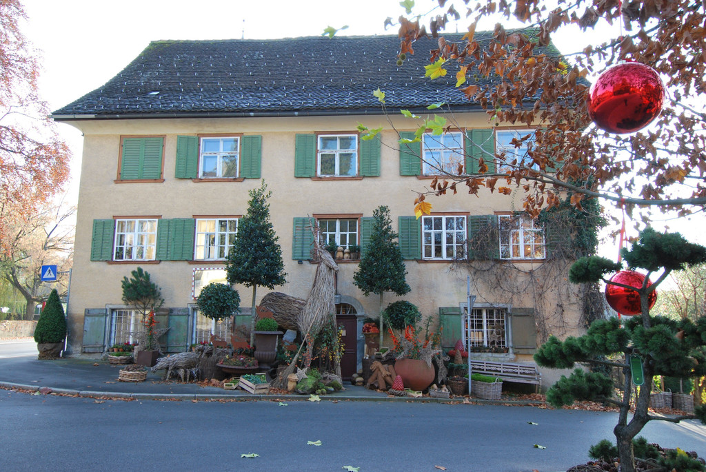 DSC_0026.JPG