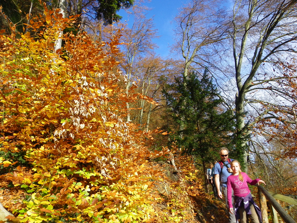 113_1406_JPG-1321728715