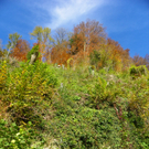 113_1304_JPG-1321728607