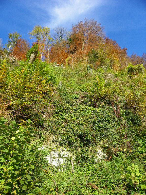 113_1304_JPG-1321728607