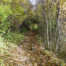 113_1319_JPG-1321728619