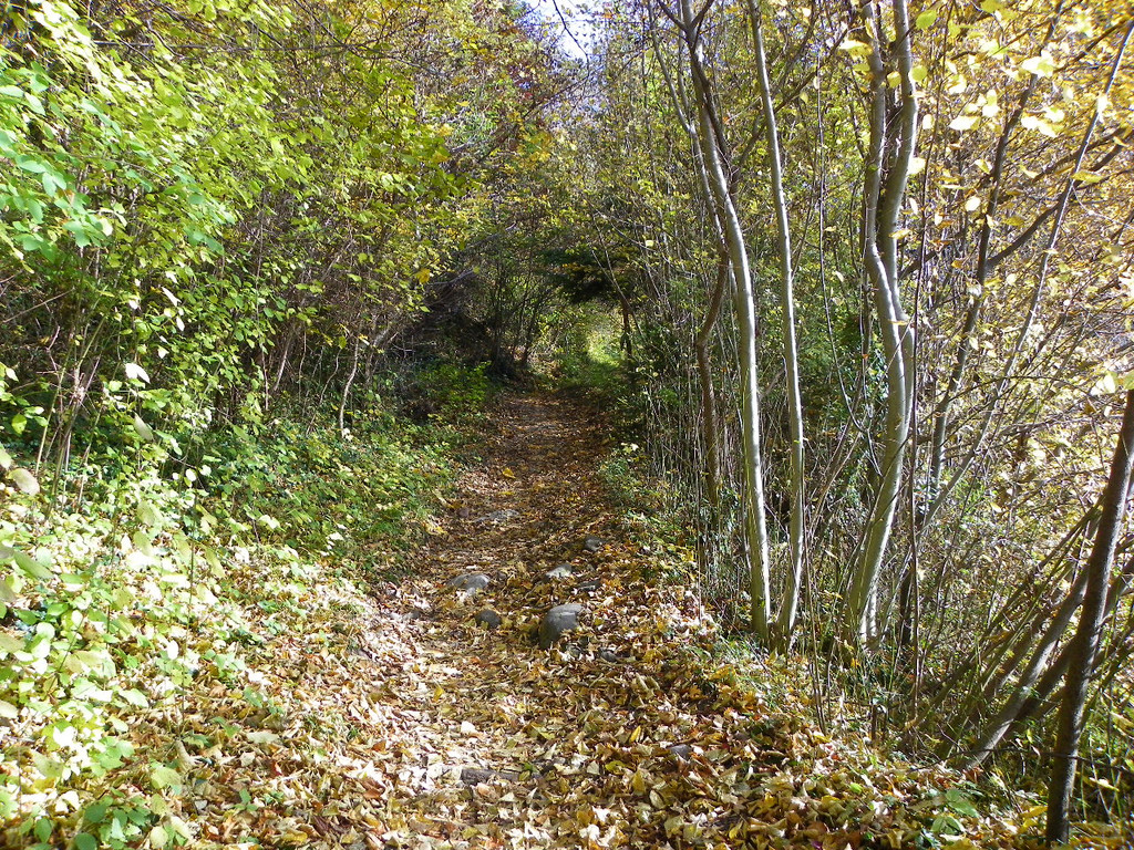 113_1319_JPG-1321728619