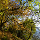 113_1324_JPG-1321728631