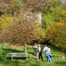 113_1351_JPG-1321728687