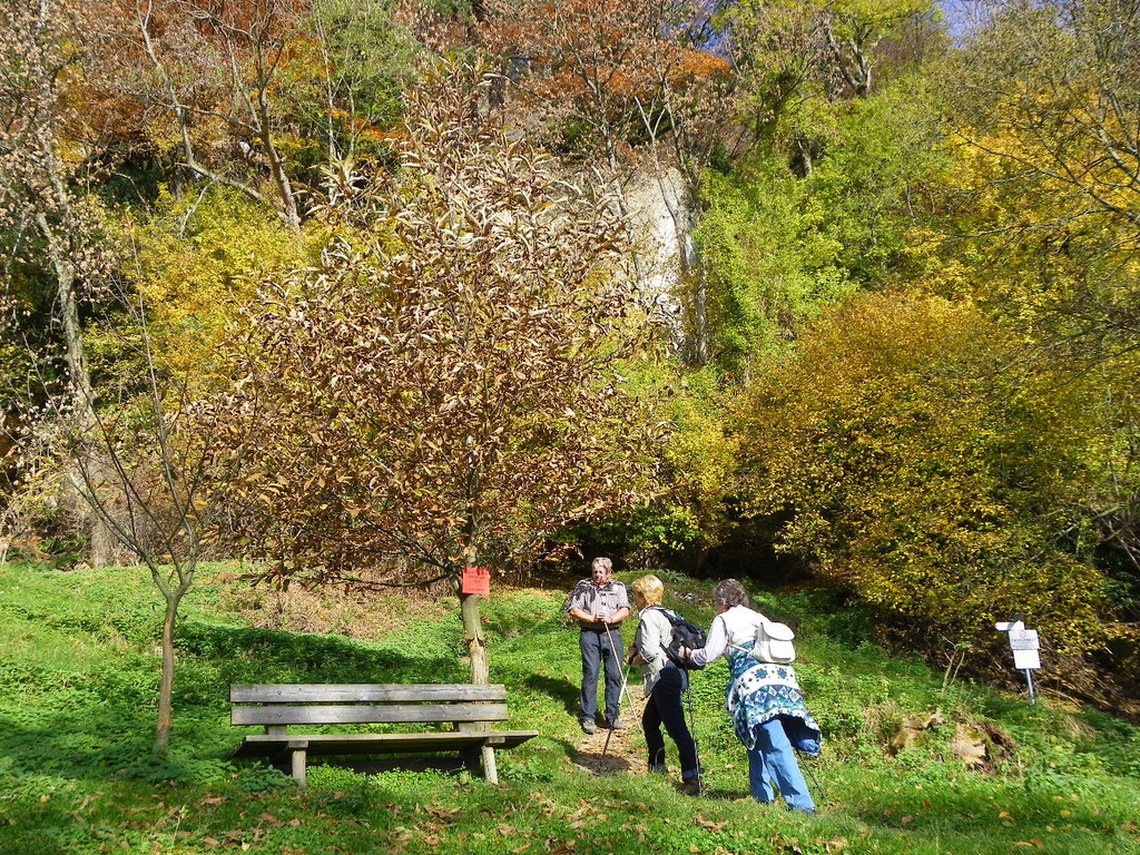 113_1351_JPG-1321728687