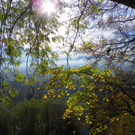 113_1325_JPG-1321728641