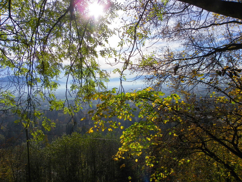 113_1325_JPG-1321728641