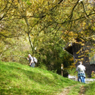 113_1344_JPG-1321728676