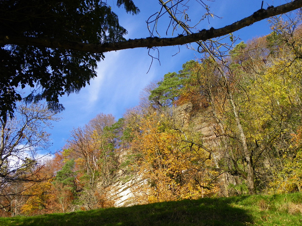 113_1335_JPG-1321728652