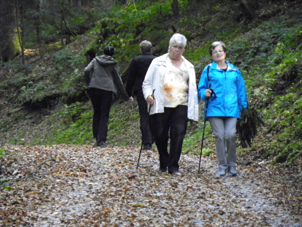 113_1487_JPG-1321728770