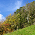 113_1342_JPG-1321728664