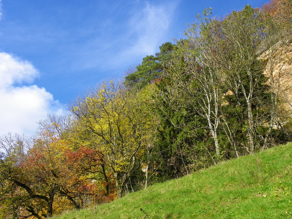 113_1342_JPG-1321728664